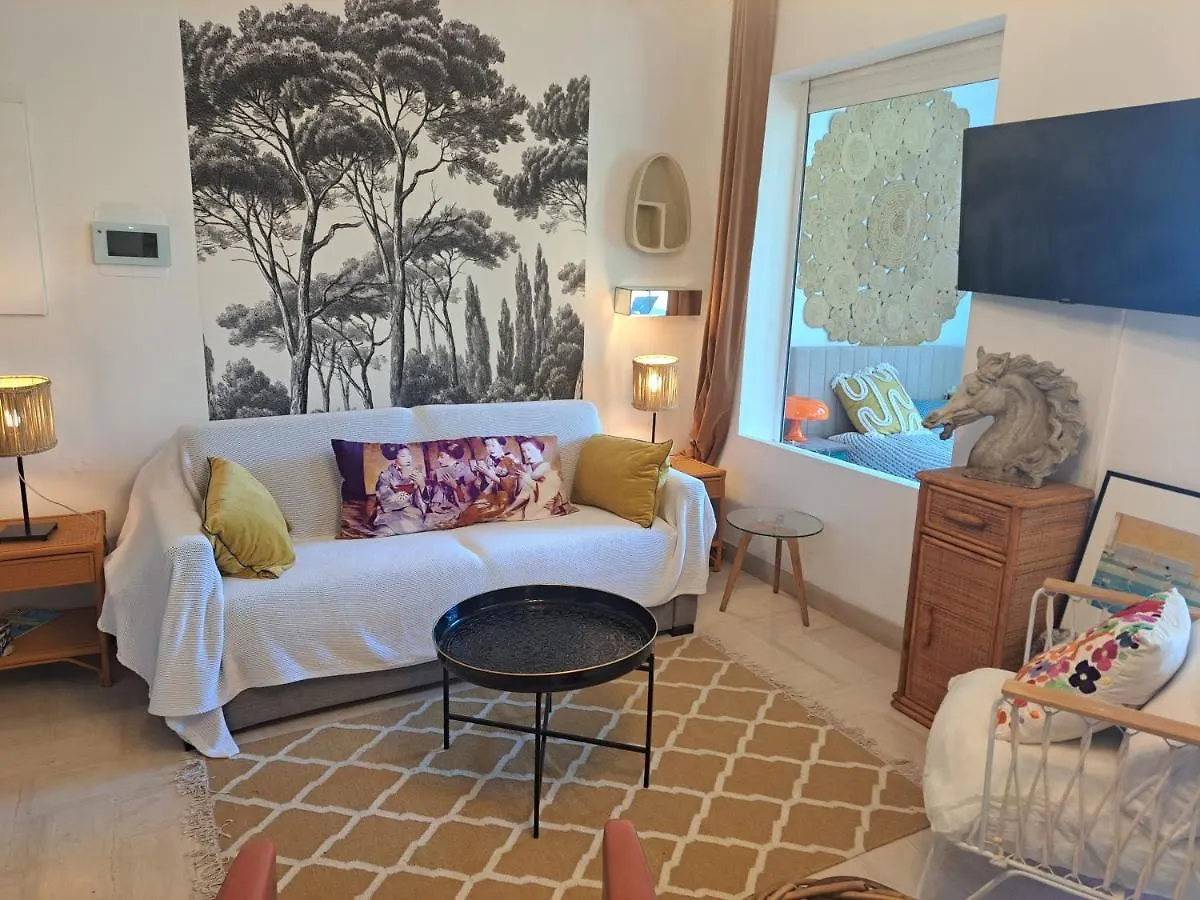 Les Madrilenes Apartment Cannes