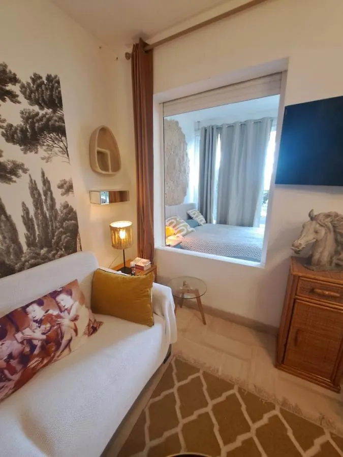 Les Madrilenes Apartment Cannes